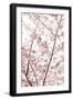 In Bloom XX-Karyn Millet-Framed Photographic Print