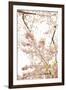 In Bloom XXI-Karyn Millet-Framed Photographic Print