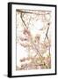 In Bloom XXI-Karyn Millet-Framed Photographic Print