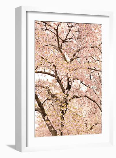 In Bloom XXII-Karyn Millet-Framed Photographic Print