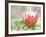 In Bloom-Don Paulson-Framed Giclee Print