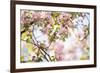 In Bloom-Irene Suchocki-Framed Giclee Print