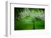 In Bloom-Ursula Abresch-Framed Photographic Print