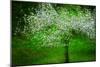 In Bloom-Ursula Abresch-Mounted Photographic Print