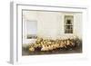 In Bloom-Zhen-Huan Lu-Framed Giclee Print