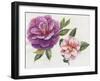 In Bloom-ZPR Int’L-Framed Giclee Print