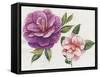 In Bloom-ZPR Int’L-Framed Stretched Canvas