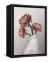 In Bloom-Gabriella Roberg-Framed Stretched Canvas