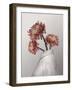 In Bloom-Gabriella Roberg-Framed Photographic Print