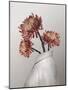 In Bloom-Gabriella Roberg-Mounted Photographic Print