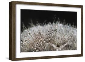 In bright backlight-Heidi Westum-Framed Photographic Print