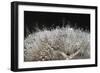 In bright backlight-Heidi Westum-Framed Photographic Print