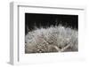 In bright backlight-Heidi Westum-Framed Photographic Print