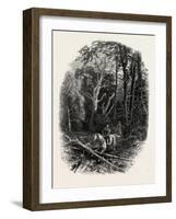 In Cedar Walk, Virginia Water, Village Being in the Borough of Runnymede in Surrey, Uk-null-Framed Giclee Print