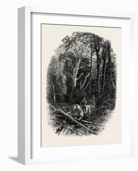 In Cedar Walk, Virginia Water, Village Being in the Borough of Runnymede in Surrey, Uk-null-Framed Giclee Print