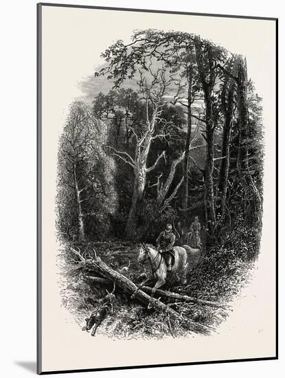 In Cedar Walk, Virginia Water, Village Being in the Borough of Runnymede in Surrey, Uk-null-Mounted Giclee Print