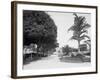 In Central Park, Havana, Cuba-null-Framed Photo