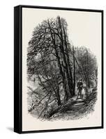 In Cliefden Woods, Scenery of the Thames, UK, 19th Century-null-Framed Stretched Canvas