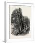 In Cliefden Woods, Scenery of the Thames, UK, 19th Century-null-Framed Giclee Print