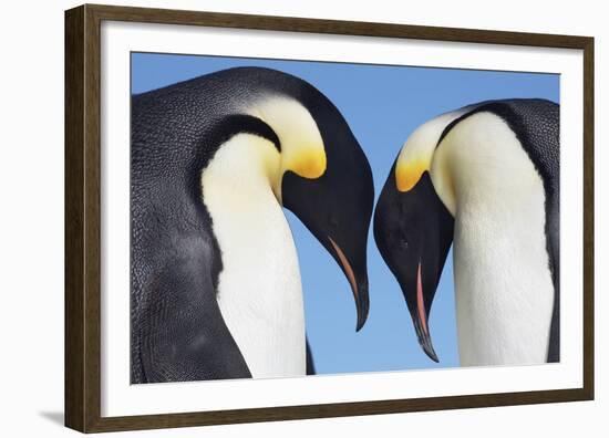 In Conversation-Frank Krahmer-Framed Giclee Print