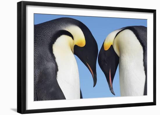 In Conversation-Frank Krahmer-Framed Giclee Print