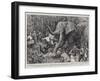 In Darkest Africa, an Incident of Mr Lloyd's March Through the Great Pygmy Forest-Frank Dadd-Framed Giclee Print