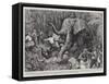 In Darkest Africa, an Incident of Mr Lloyd's March Through the Great Pygmy Forest-Frank Dadd-Framed Stretched Canvas