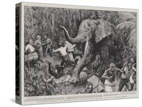 In Darkest Africa, an Incident of Mr Lloyd's March Through the Great Pygmy Forest-Frank Dadd-Stretched Canvas