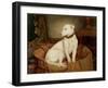 In Disgrace-William Woodhouse-Framed Giclee Print