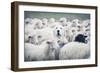 In Disguise-Adrian Popan-Framed Giclee Print