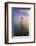 In Dreams, San Francisco Bay Bridge Fog Morning Light-Vincent James-Framed Photographic Print