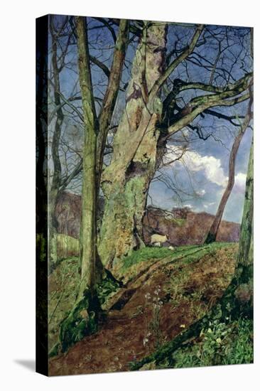 In Early Spring: a Study in March-John William Inchbold-Stretched Canvas