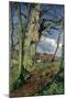 In Early Spring: a Study in March-John William Inchbold-Mounted Giclee Print