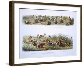 In Fairyland: A Series of Pictures from the Elf-World by William Allingham and Andrew Lang-Richard Doyle-Framed Giclee Print