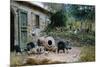 In Farmyard-Giovanni Muzzioli-Mounted Giclee Print