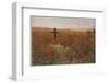 In Flanders Fields-null-Framed Photographic Print