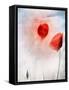 In Flanders Fields-Gilbert Claes-Framed Stretched Canvas