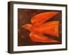 In Flight, 1997-Peter Davidson-Framed Giclee Print