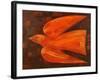 In Flight, 1997-Peter Davidson-Framed Giclee Print