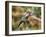 In Flight II-Larry Malvin-Framed Photographic Print