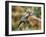 In Flight II-Larry Malvin-Framed Photographic Print