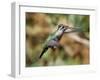 In Flight II-Larry Malvin-Framed Photographic Print