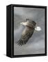 In Flight-Trevor V. Swanson-Framed Stretched Canvas