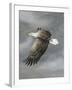 In Flight-Trevor V. Swanson-Framed Giclee Print