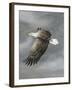 In Flight-Trevor V. Swanson-Framed Giclee Print