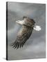 In Flight-Trevor V. Swanson-Stretched Canvas