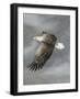 In Flight-Trevor V. Swanson-Framed Giclee Print