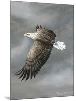 In Flight-Trevor V. Swanson-Mounted Giclee Print