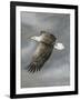 In Flight-Trevor V. Swanson-Framed Giclee Print