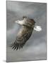 In Flight-Trevor V. Swanson-Mounted Giclee Print